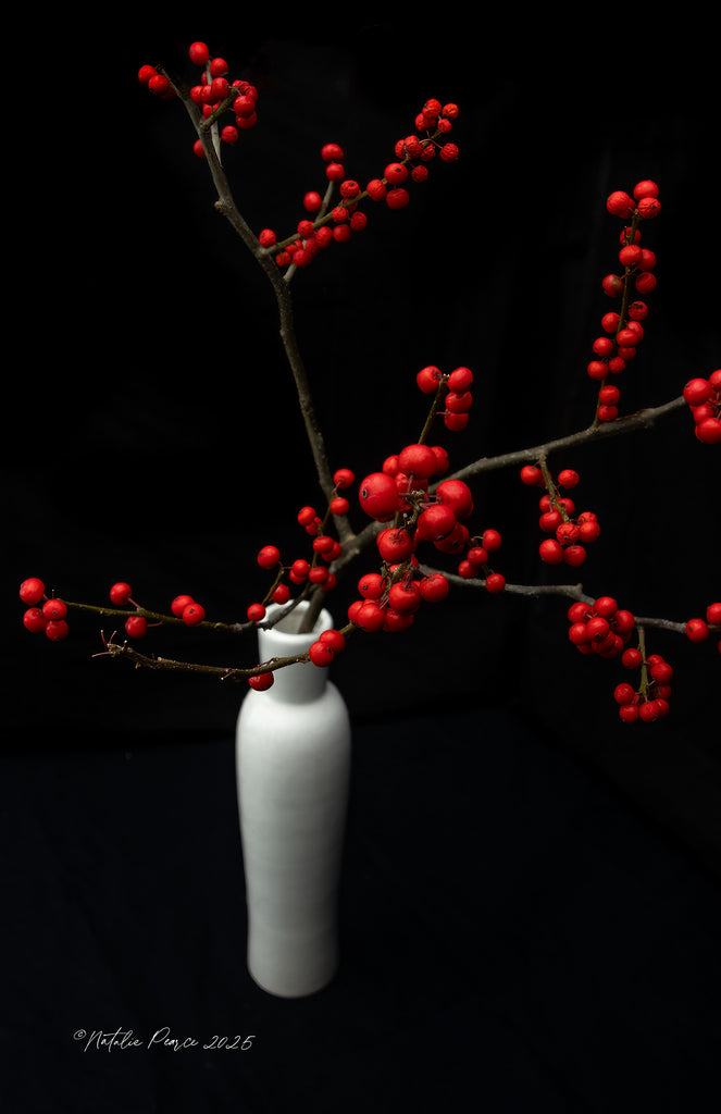 red-berries-wall-art-nz