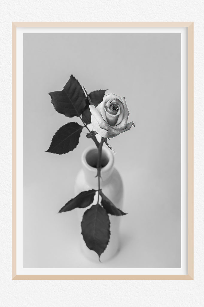 rose-bud-floral-wall-print