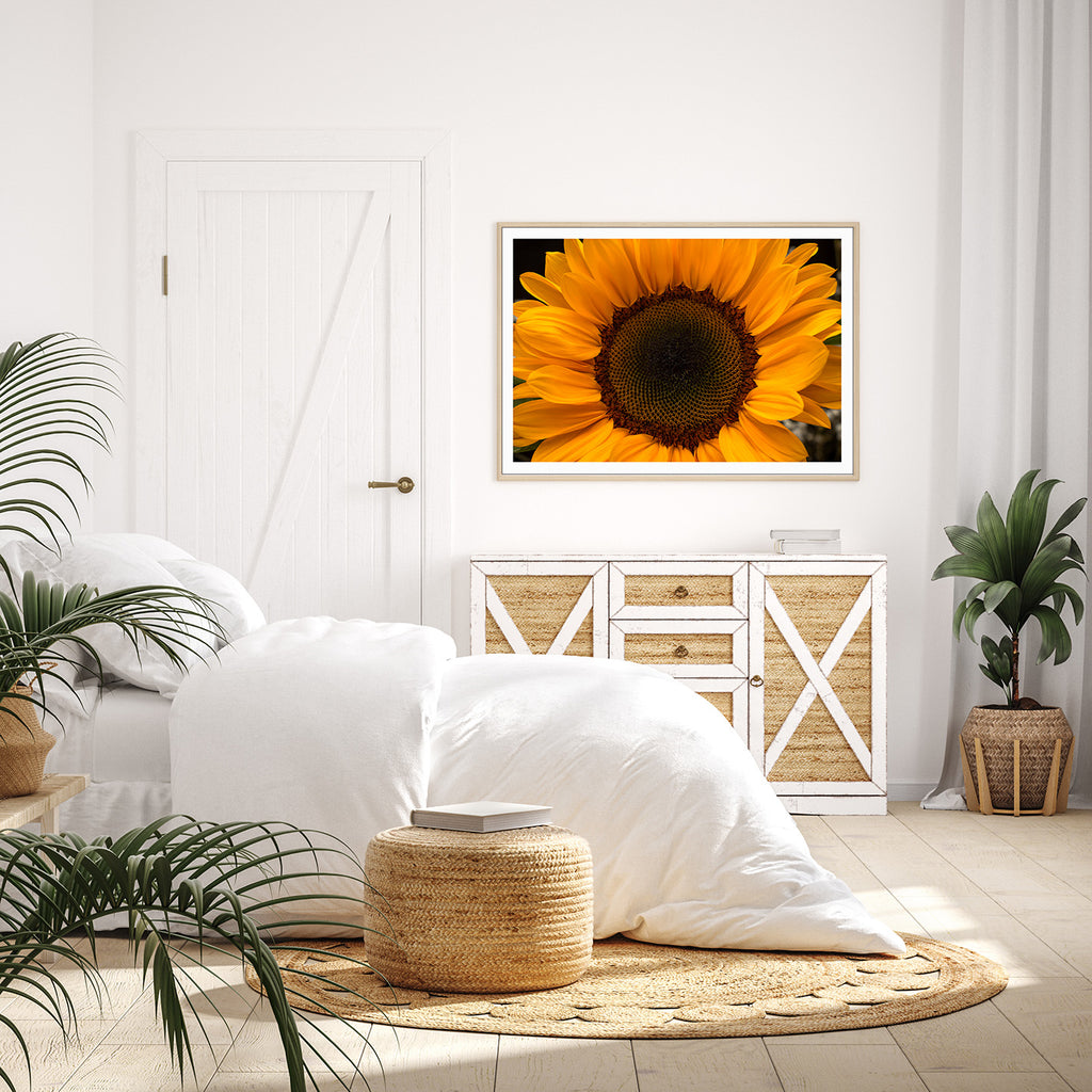 sunflower-nz-wall-art