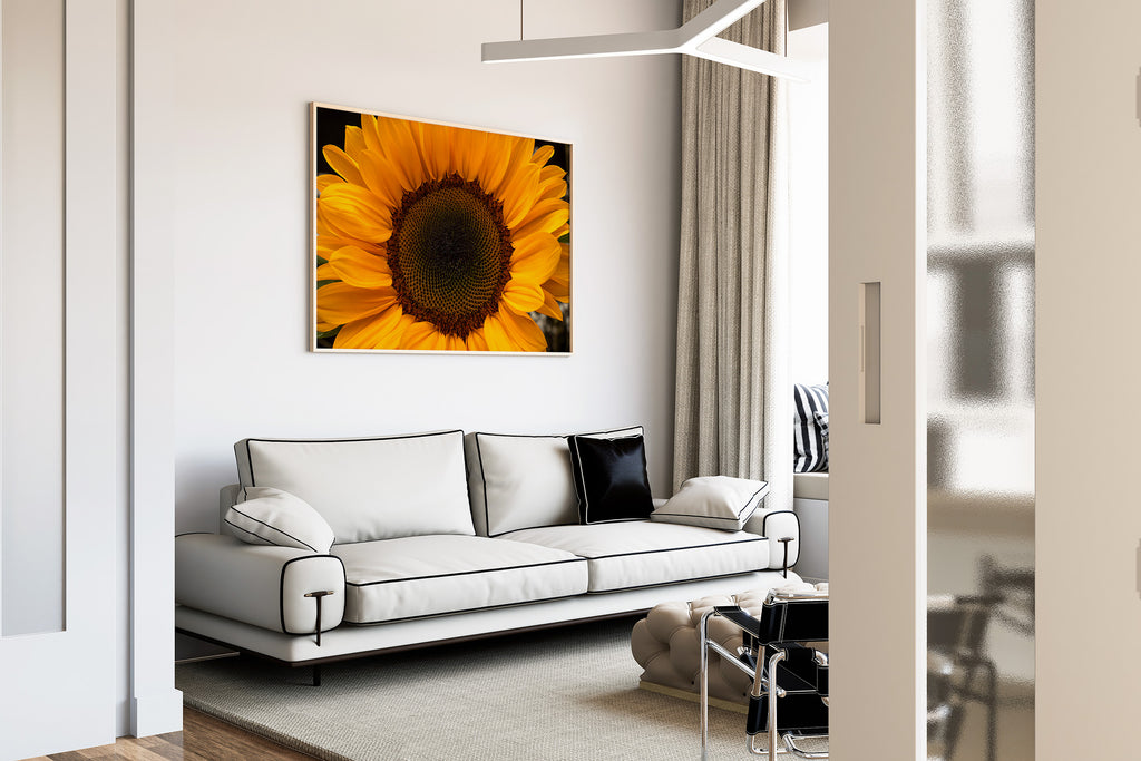 sunflower-up-close-wall-art