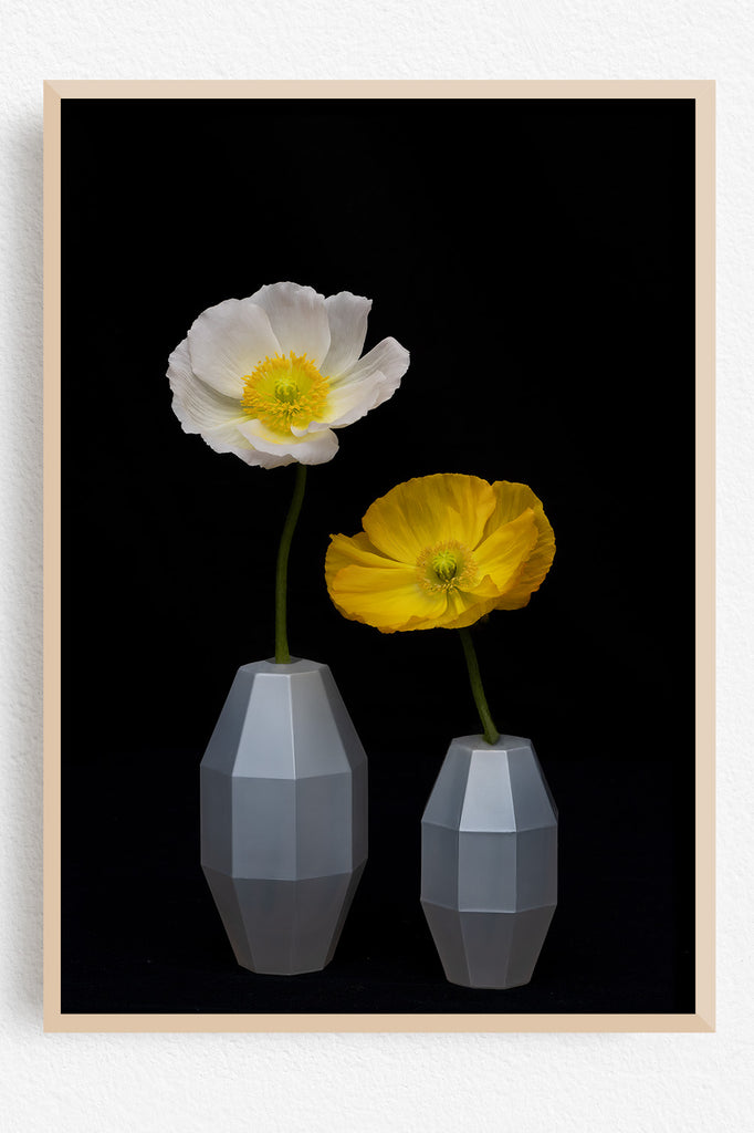 two-poppies-wall-art-nz