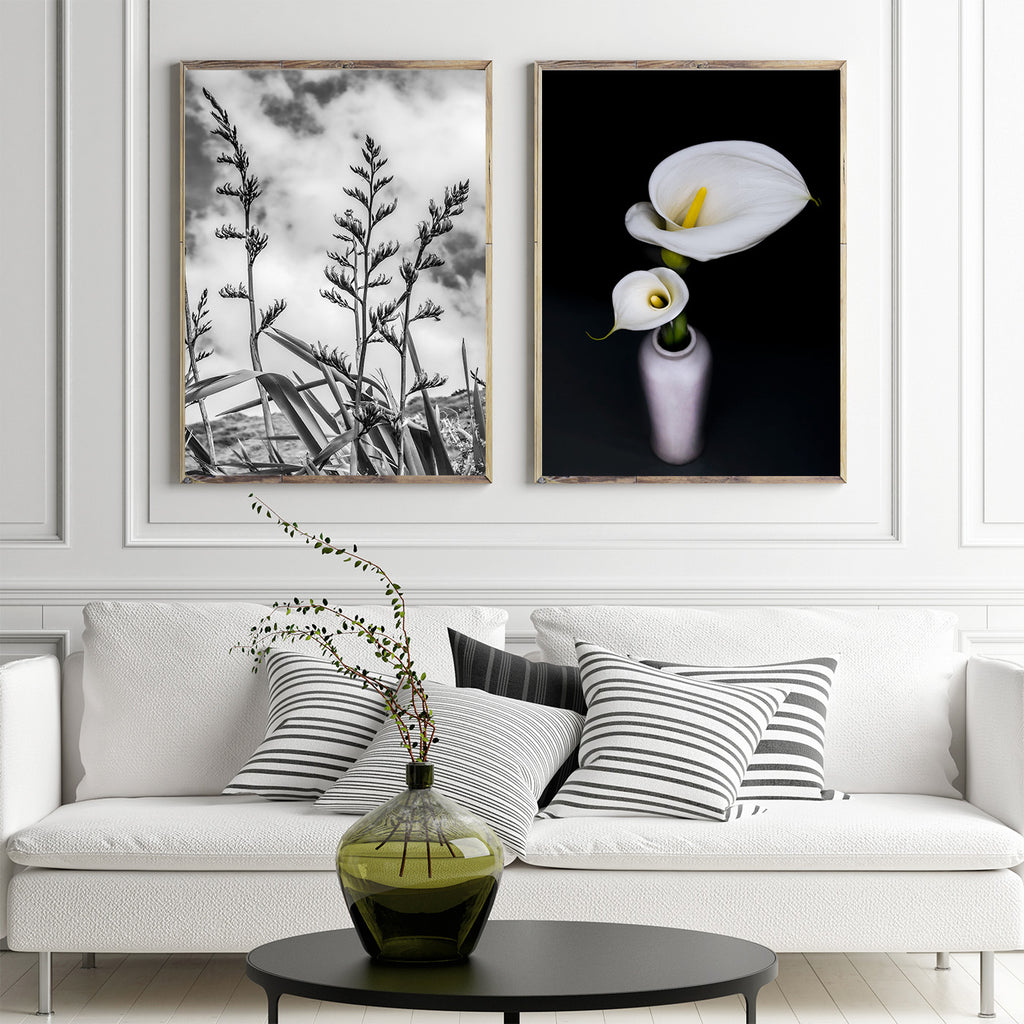 Arum Lilies Fine Art Prints NZ