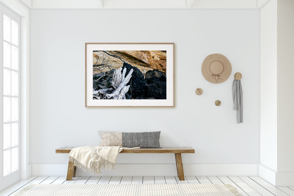 Beach Driftwood Framed Art Prints