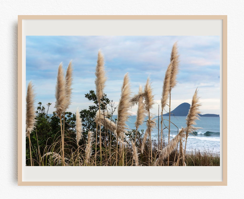 Beach ToeToe Framed Art Print NZ