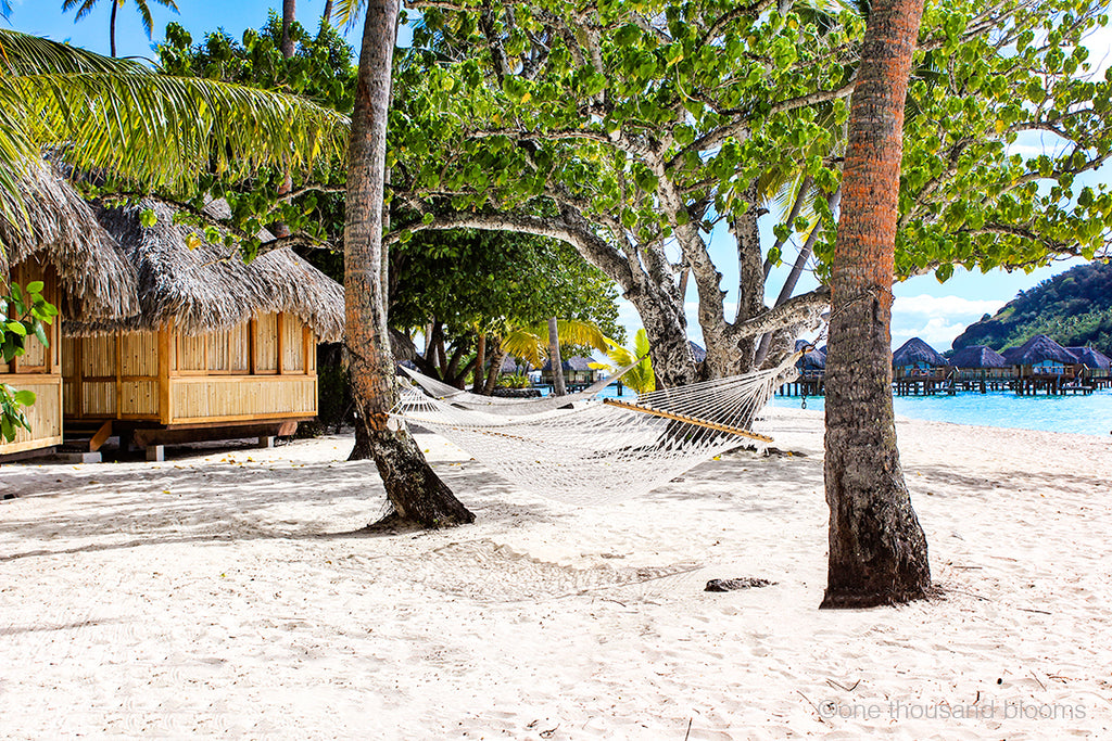 Beachside Paradise Wall Print