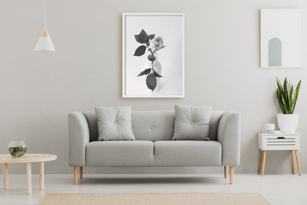 Black and White Rose Bud Art Print NZ