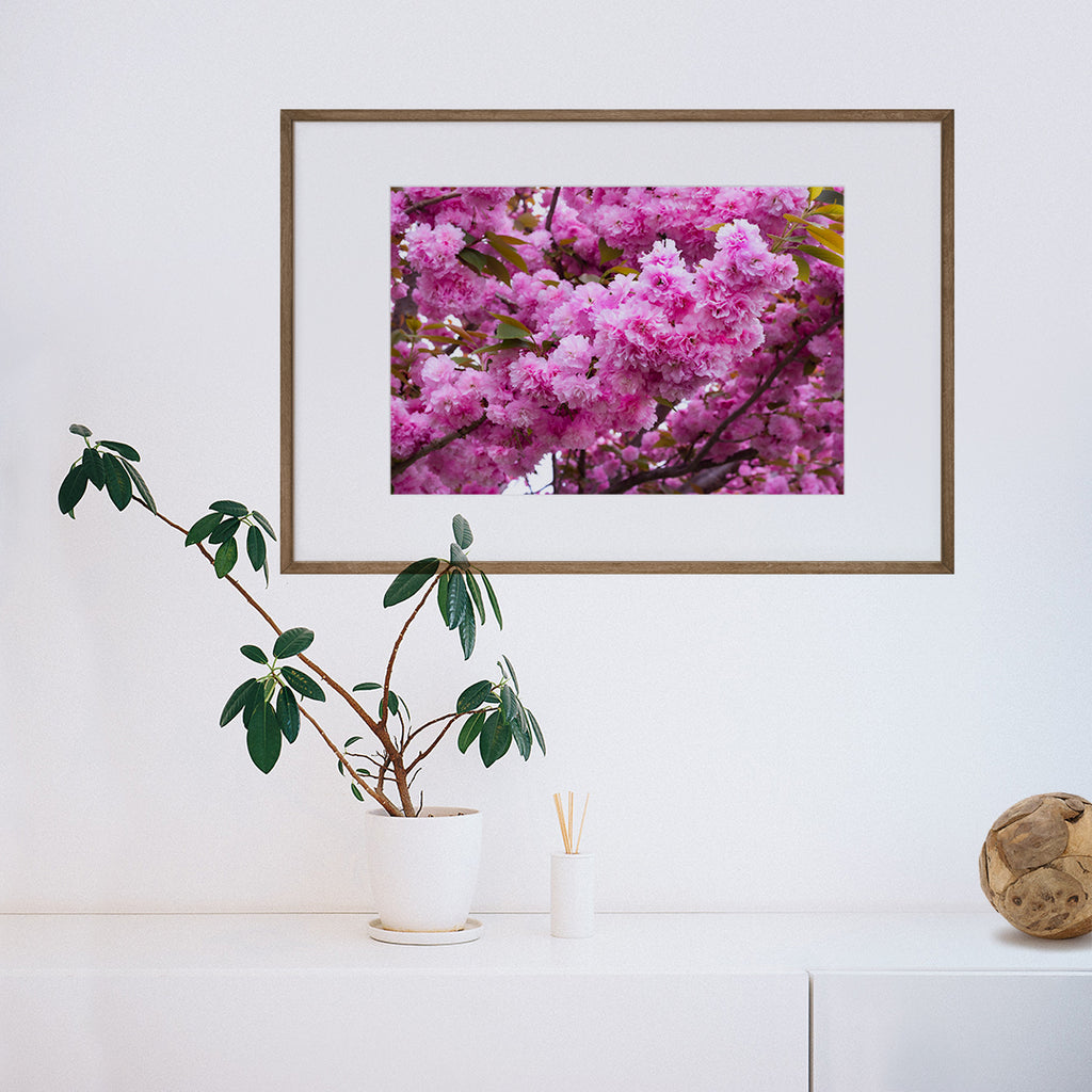 Pink Blossom Flower Framed Wall Art