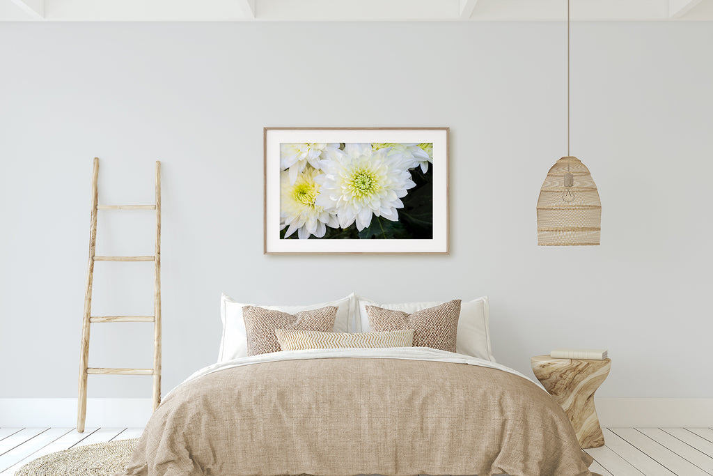 Chrysanthemum Flower Wall Art NZ
