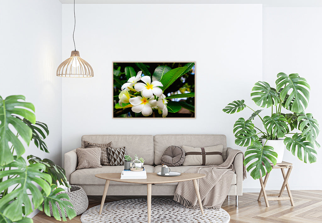 Frangipani in bloom floral wall art in frame