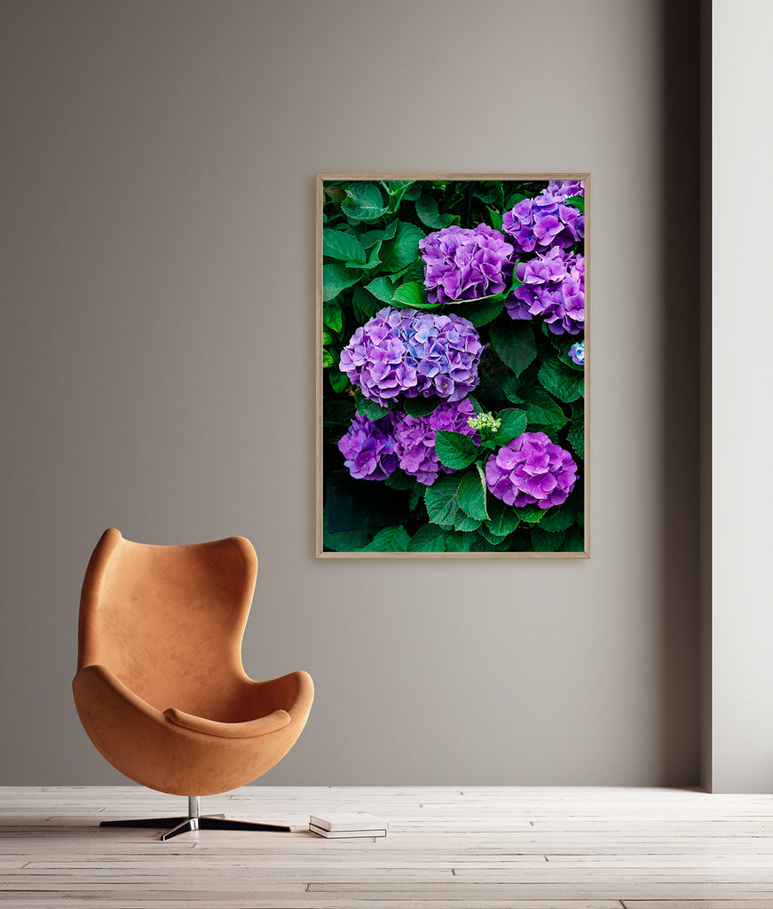 Hydrangea Flower Wall Art NZ