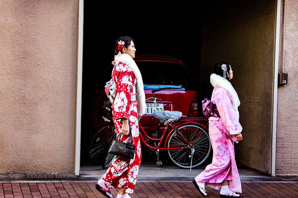 Kimono's on Parade Wall Art