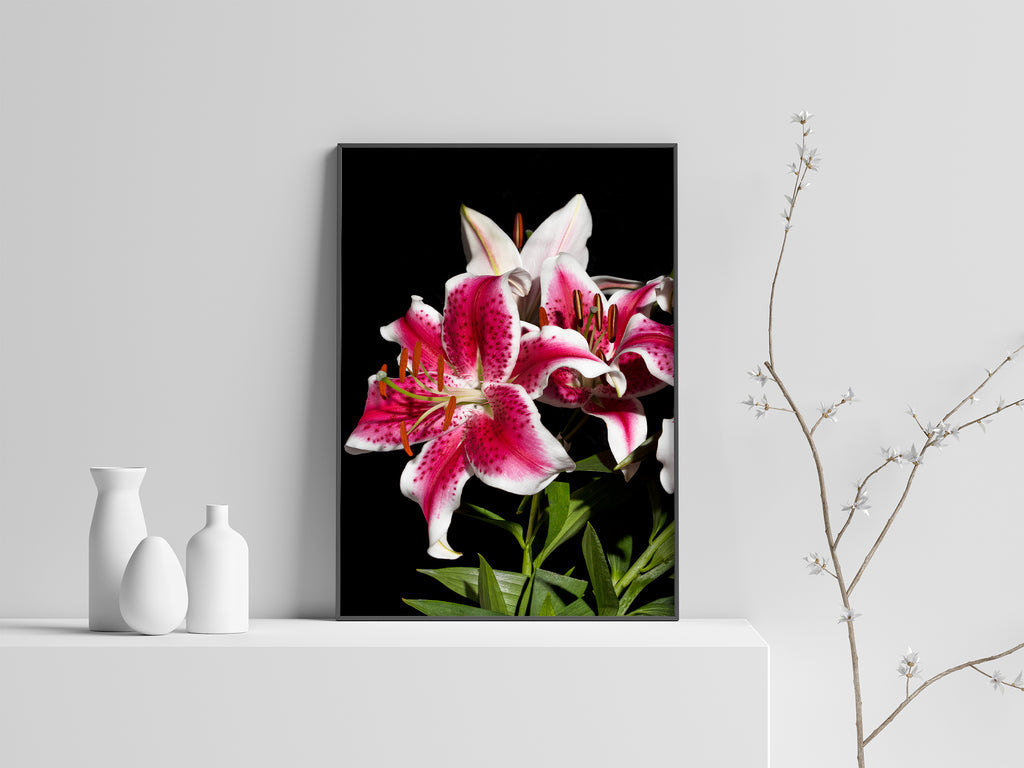 Lily Floral Art Print NZ