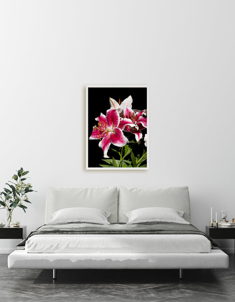 Lily Floral Wall Art Print NZ