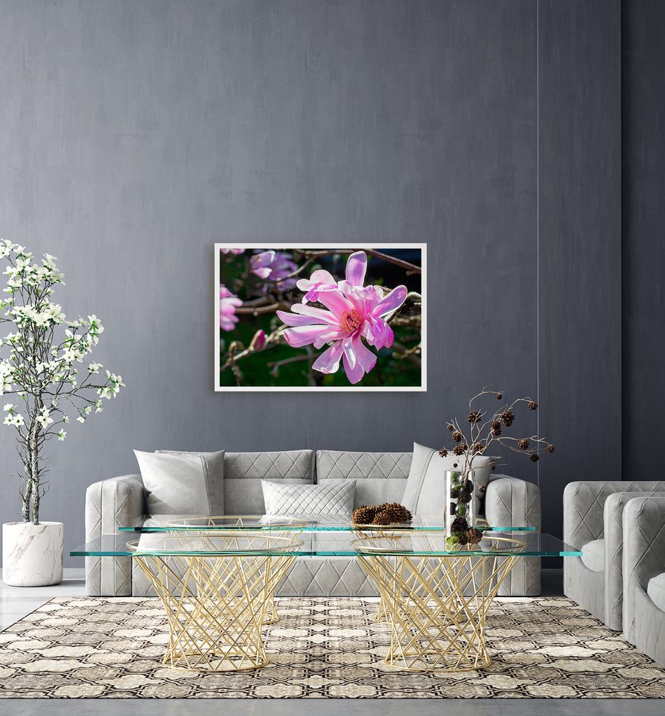 Magnolia Flower Art Print NZ