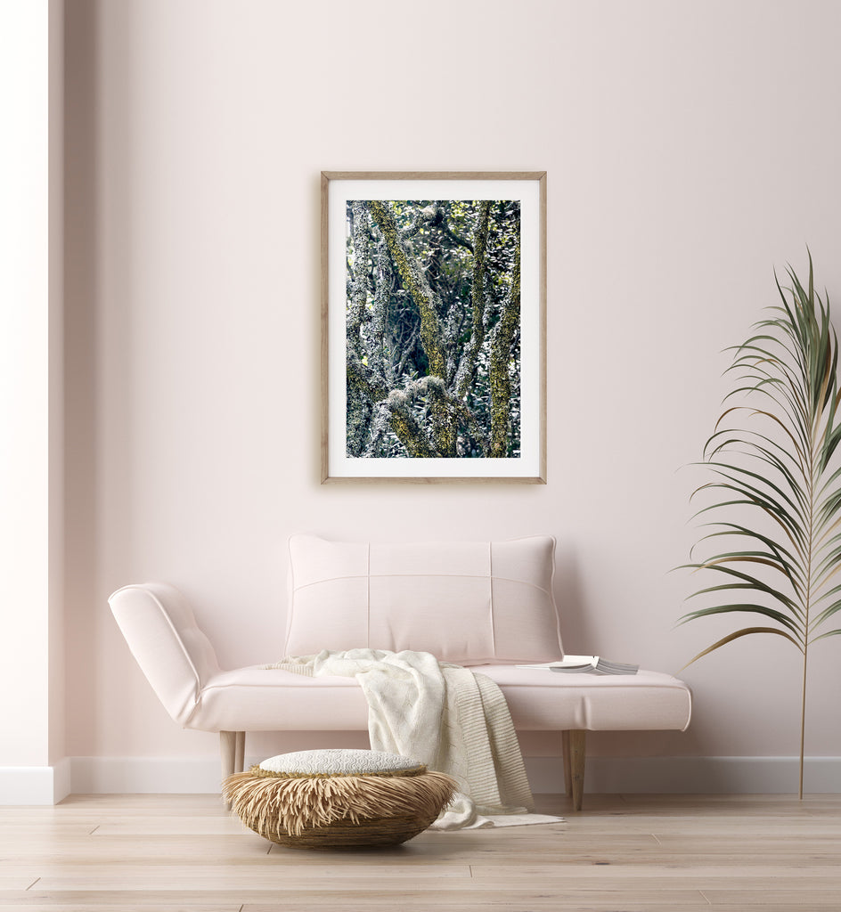 Moss-Covered-Framed-Wall-Art-NZ