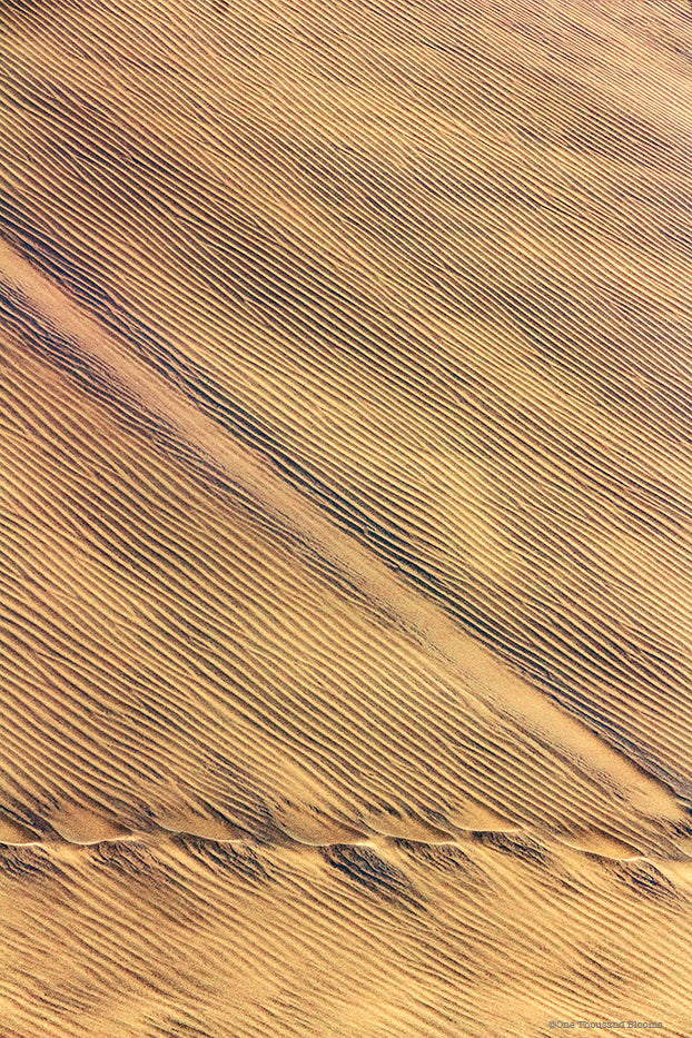 NZ Sand Dunes Wall Art