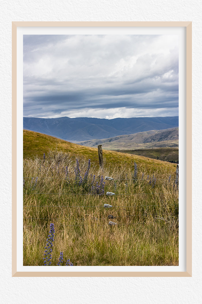 Number 8 Wire Art Prints NZ One Thousand Blooms