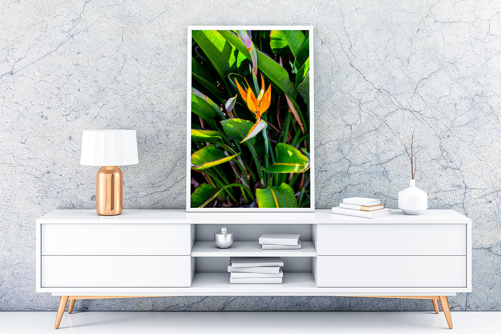 Bird of Paradise Wall Decor with White Frame