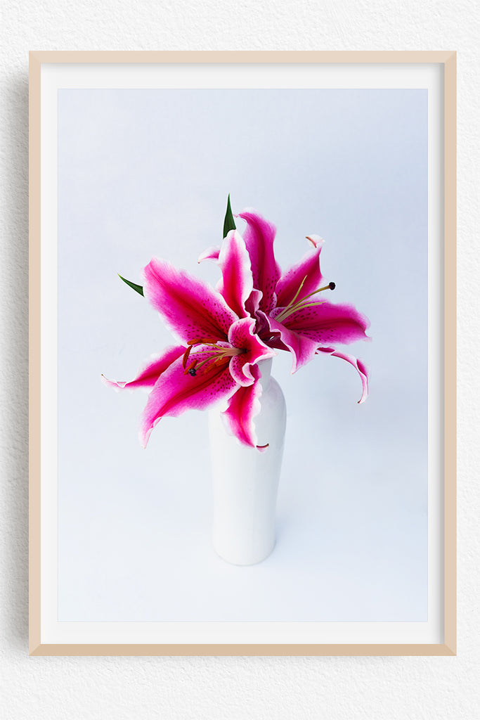 PInk Lily Floral Wall Art