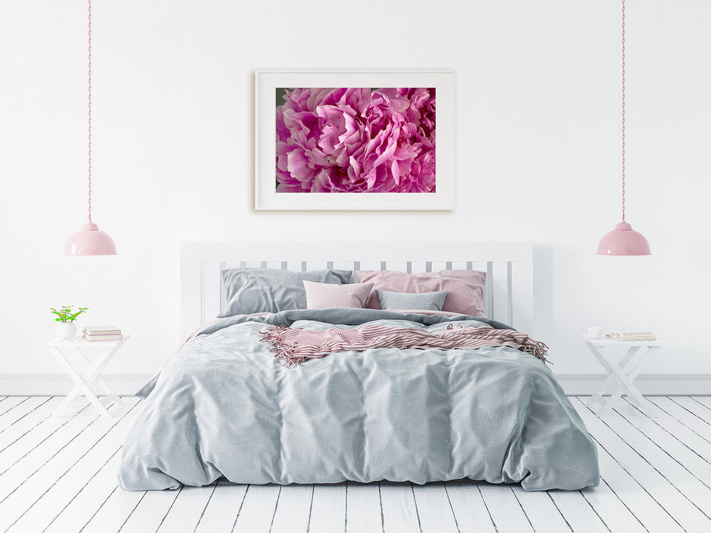 Pink Peony Floral Wall Art NZ