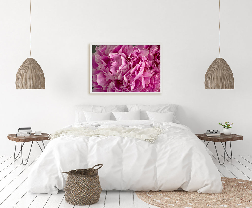 Pink Peony Flower Wall Art NZ