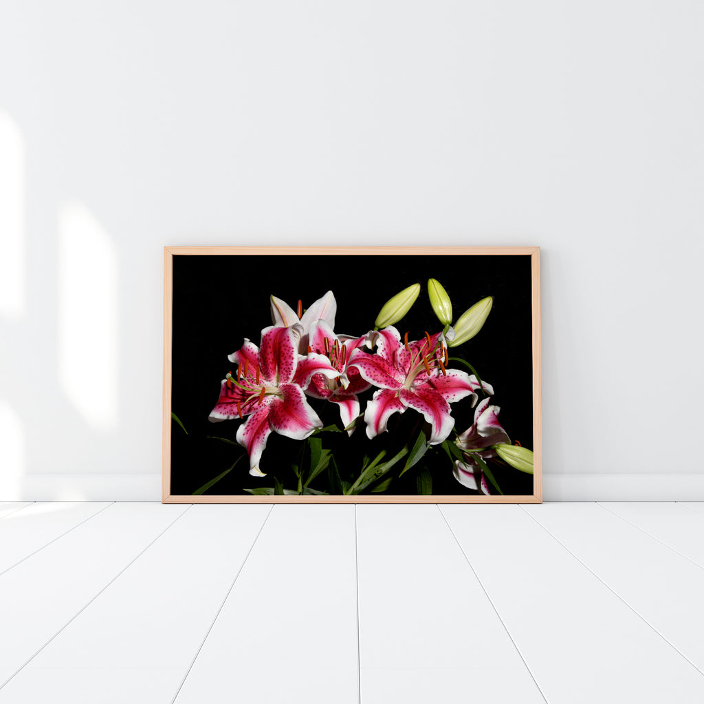 Pink Tiger Lily Floral Wall Art