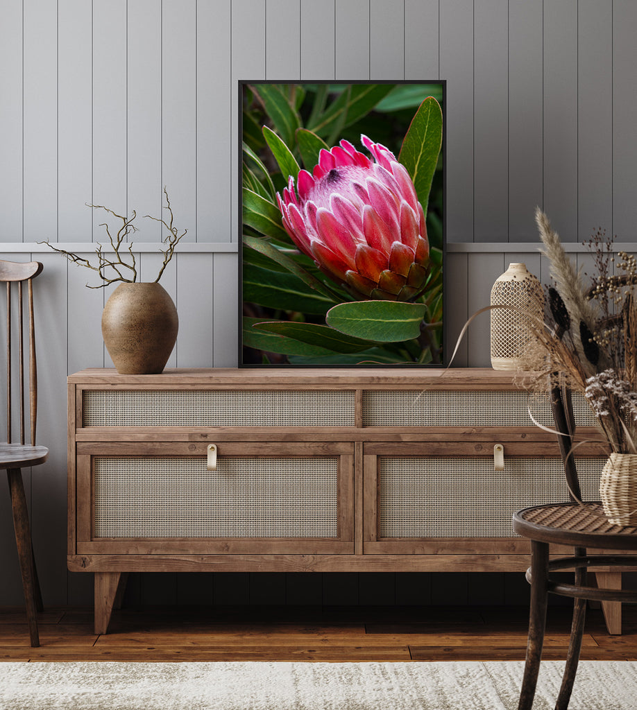 Protea-Art-Prints-NZ