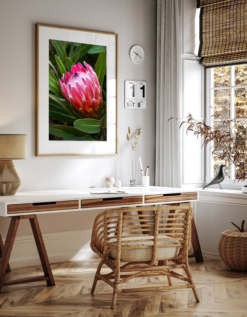 Protea-Flower-NZ-Art