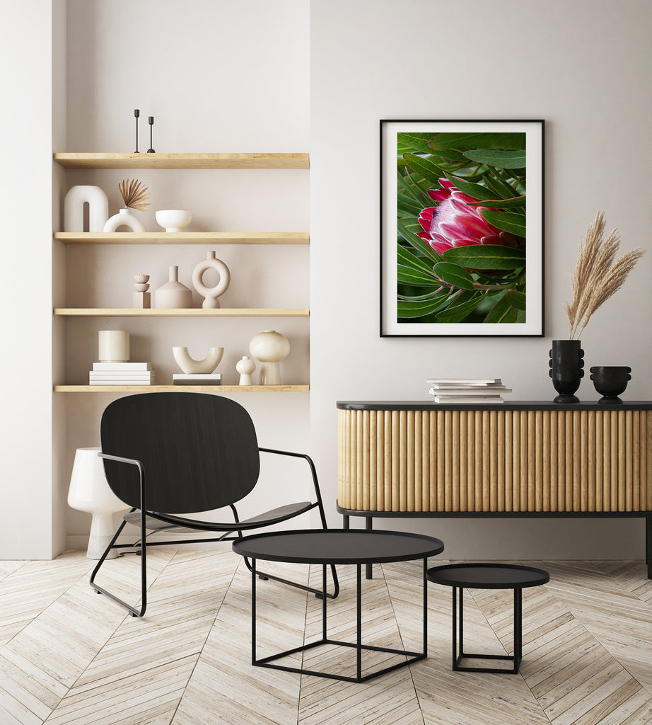 Protea-in-Bloom-Wall-Prints