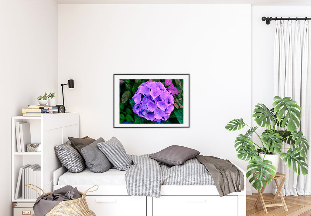 Purple Hydrangea Art Print