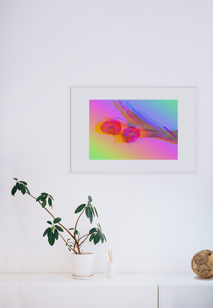 Rainbow Tulip White Framed Flower Wall Art