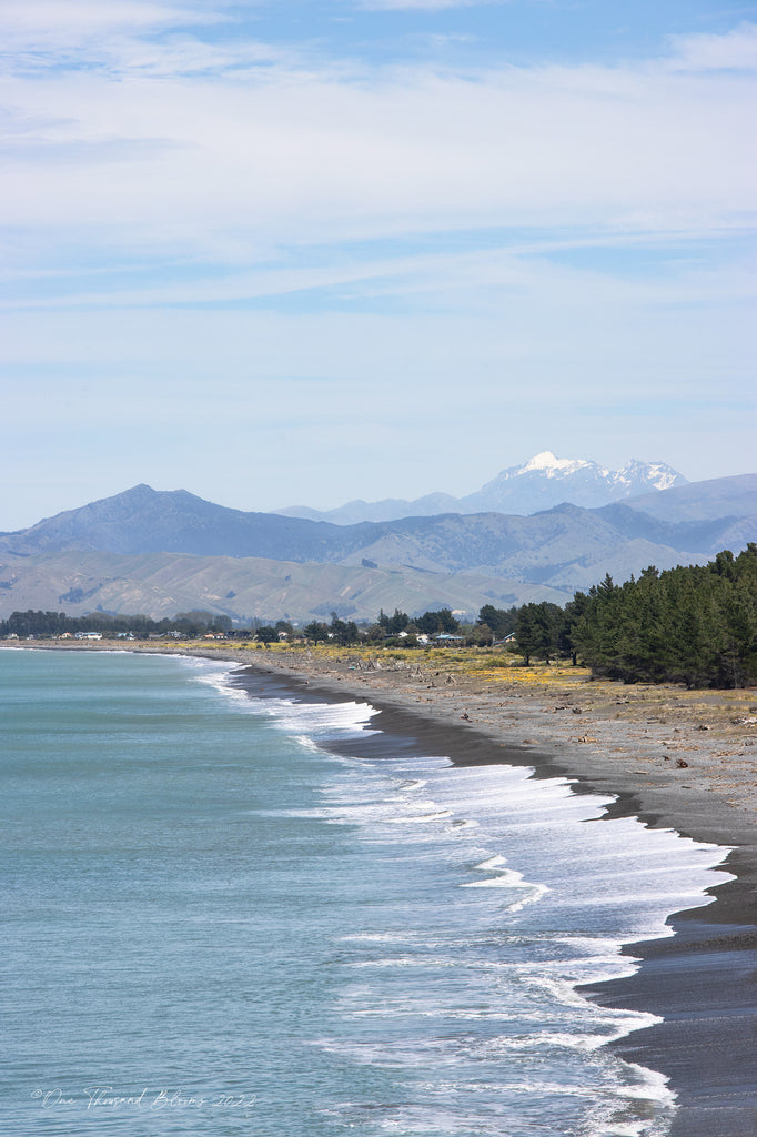 Rayrangi Rarangi Beach Art NZ – One Thousand Blooms
