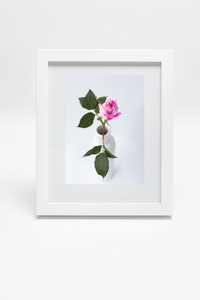 Rosebud floral Framed Wall Art NZ