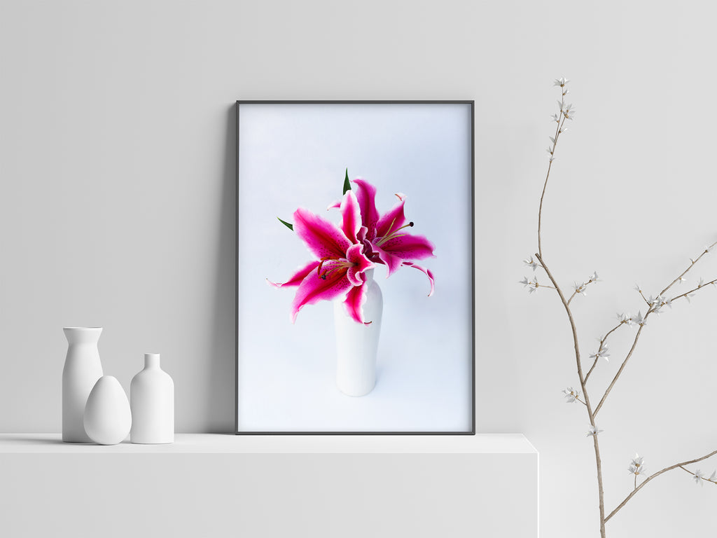 Pink Tiger Lily Blooms Wall Art NZ