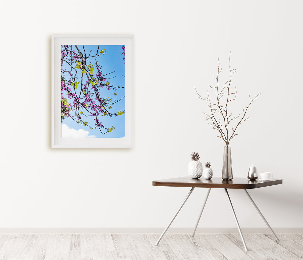 Tree Blossom Framed Wall Art NZ