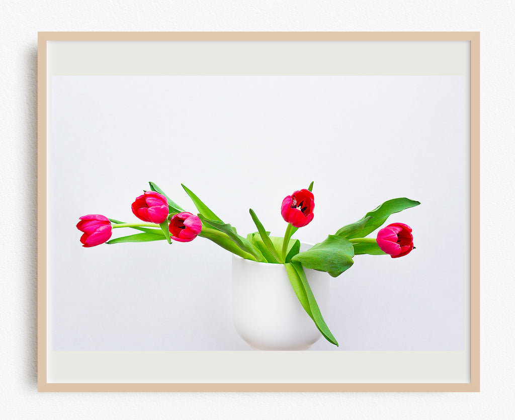Tulip Flower Art Print NZ