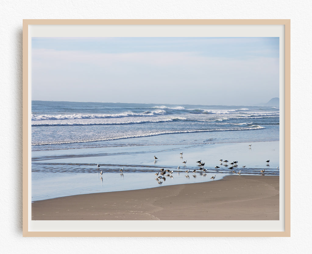 Waihi Beach Seabirds Art NZ