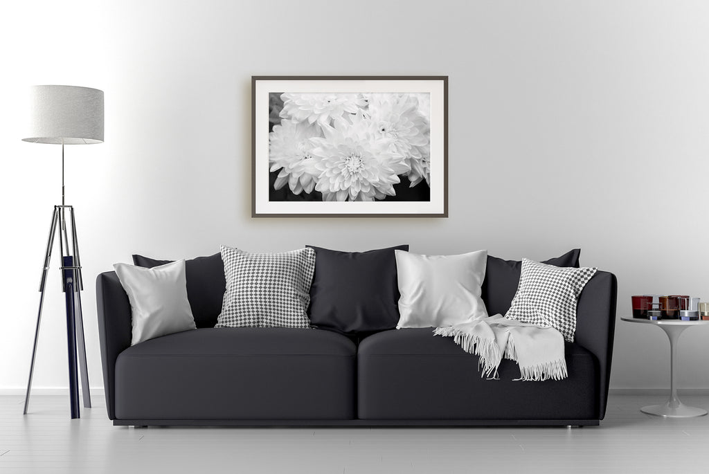 White Chrysanthemum Framed Wall Art NZ