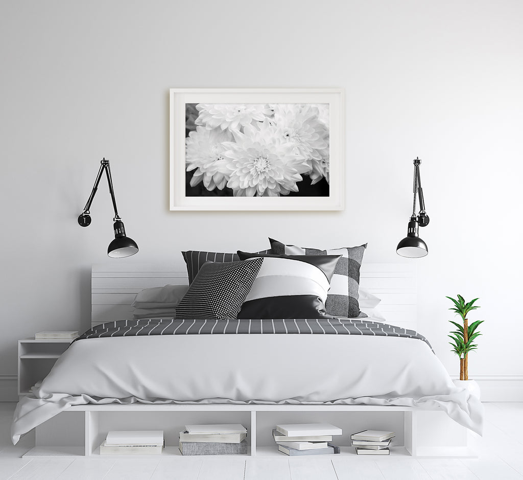 White Chrysanthemum Wall Art NZ