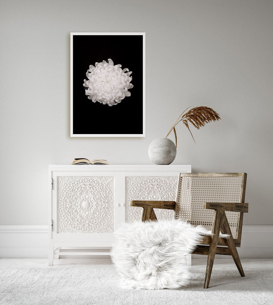 White Chrysanthemum New Zealand Wall Art