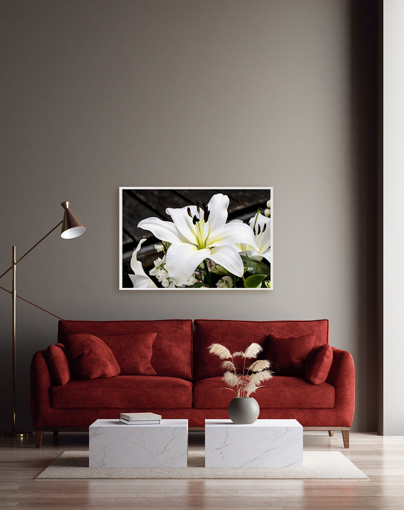 White Lily Flower Wall Art NZ