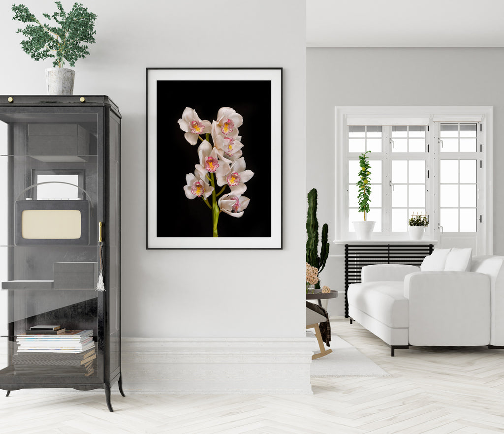 White Orchid Wall Prints