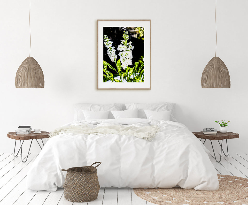 White Stock Floral Wall Art NZ