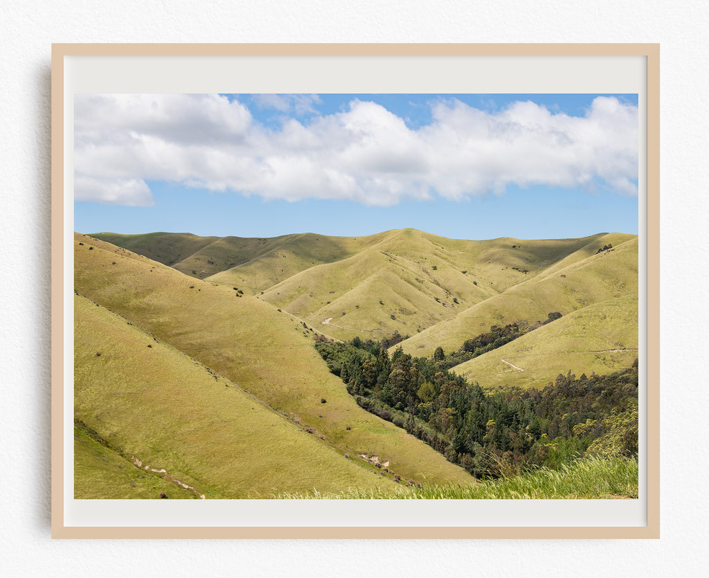 wither-hills-wall-art-prints-nz