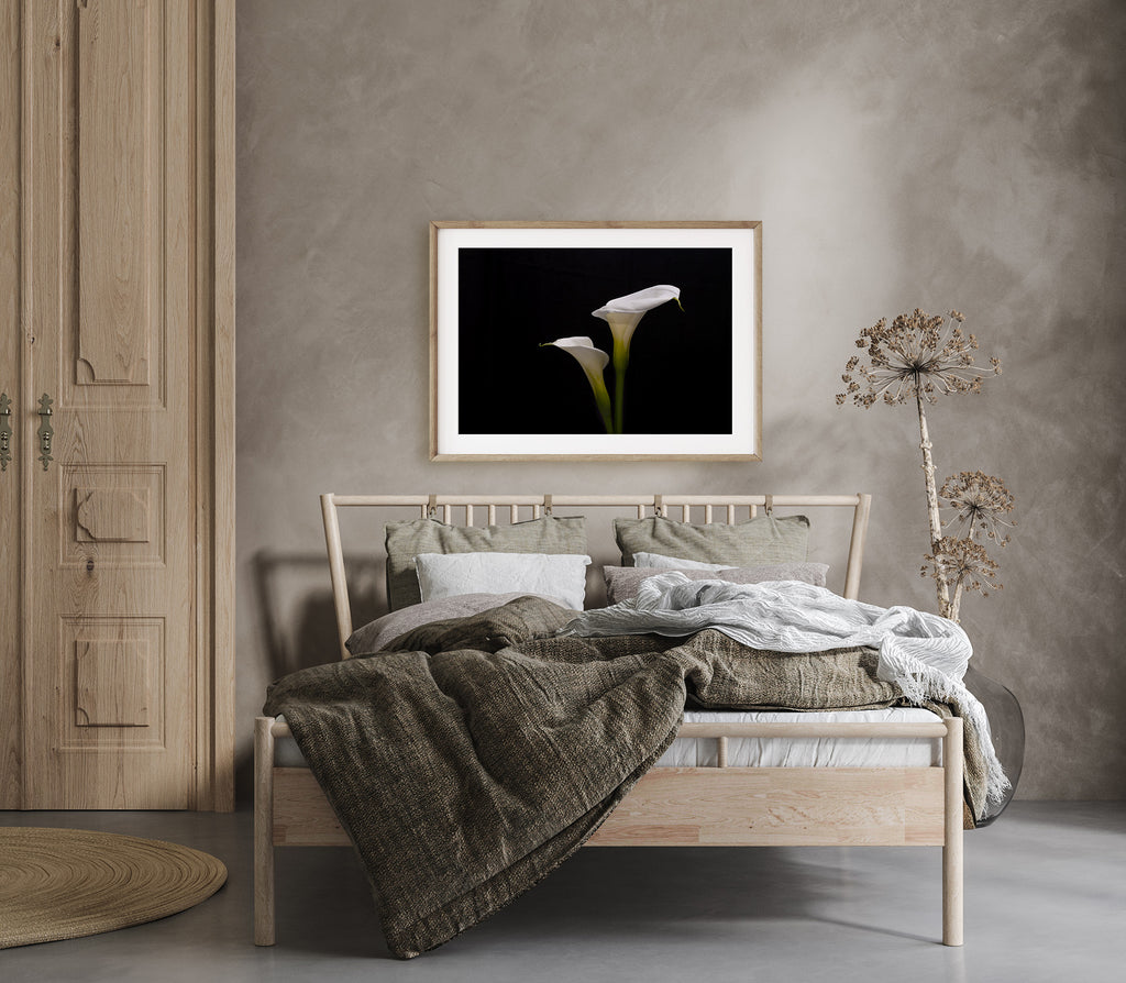 Arum Lily Wall Prints New Zealand