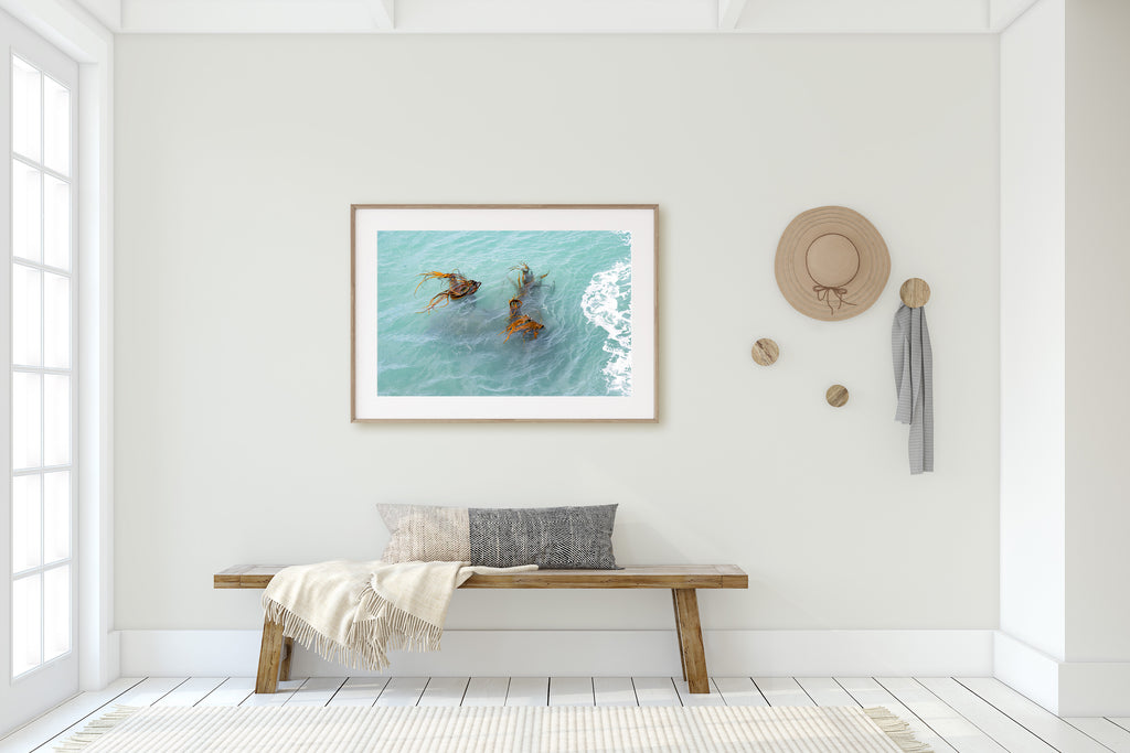 bull-kelp-pastel-wall-art-prints