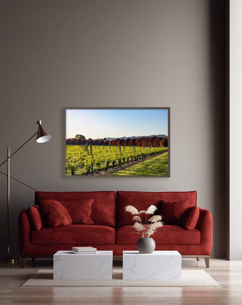 marlborough-vineyards-framed-wall-art-nz