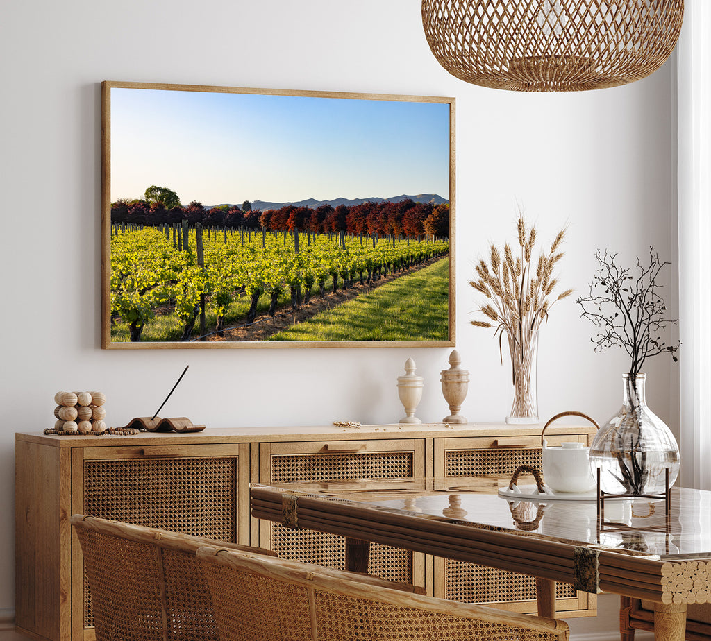 marlborough-vineyards-wall-art-prints-nz